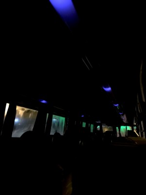 bus at night blue and green