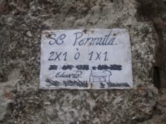 Havana-Cuba-2207