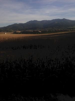 Images for slovenia fields