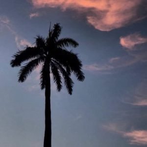Miami Street Photography Club (Miami, FL)