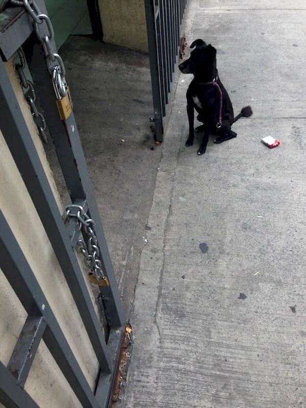 buenos aires street photography