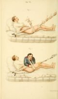 human-body-vintage-scientific-illustration-naturalist-drawing-0008