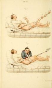 human-body-vintage-scientific-illustration-naturalist-drawing-0008