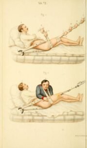 human-body-vintage-scientific-illustration-naturalist-drawing-0008