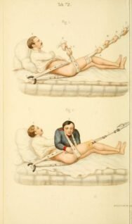 human-body-vintage-scientific-illustration-naturalist-drawing-0008