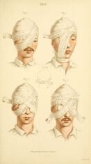 human-body-vintage-scientific-illustration-naturalist-drawing-0010