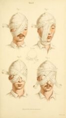 human-body-vintage-scientific-illustration-naturalist-drawing-0010
