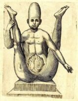 human-body-vintage-scientific-illustration-naturalist-drawing-0012
