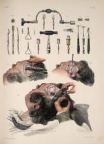 human-body-vintage-scientific-illustration-naturalist-drawing-0026