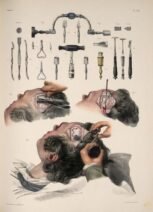 human-body-vintage-scientific-illustration-naturalist-drawing-0026