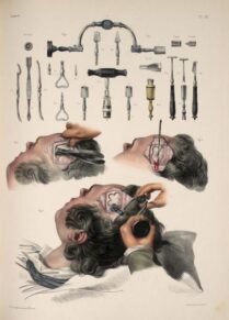 human-body-vintage-scientific-illustration-naturalist-drawing-0026