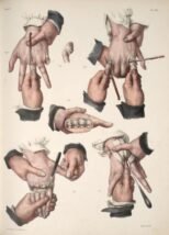 human-body-vintage-scientific-illustration-naturalist-drawing-0028