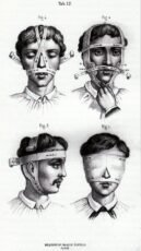 human-body-vintage-scientific-illustration-naturalist-drawing-0036