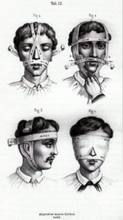 human-body-vintage-scientific-illustration-naturalist-drawing-0036