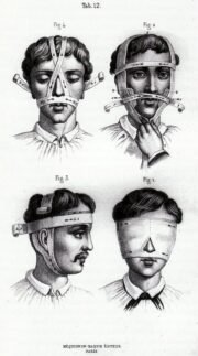 human-body-vintage-scientific-illustration-naturalist-drawing-0036