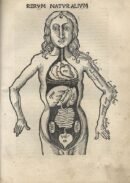 human-body-vintage-scientific-illustration-naturalist-drawing-0042