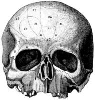 human-body-vintage-scientific-illustration-naturalist-drawing-0052