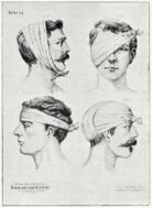 human-body-vintage-scientific-illustration-naturalist-drawing-0053