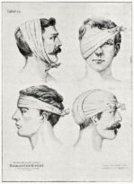 human-body-vintage-scientific-illustration-naturalist-drawing-0053
