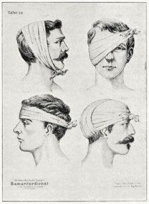 human-body-vintage-scientific-illustration-naturalist-drawing-0053