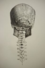 human-body-vintage-scientific-illustration-naturalist-drawing-0054