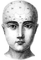 human-body-vintage-scientific-illustration-naturalist-drawing-0061