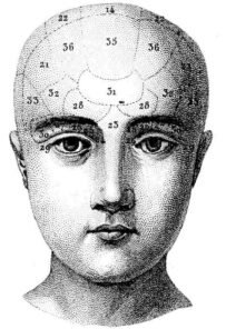 human-body-vintage-scientific-illustration-naturalist-drawing-0061