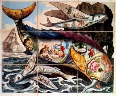 Strange Beauty & Rare Curiosities