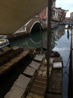 Canals, bridges, campi and calli, the strange topography of Venice