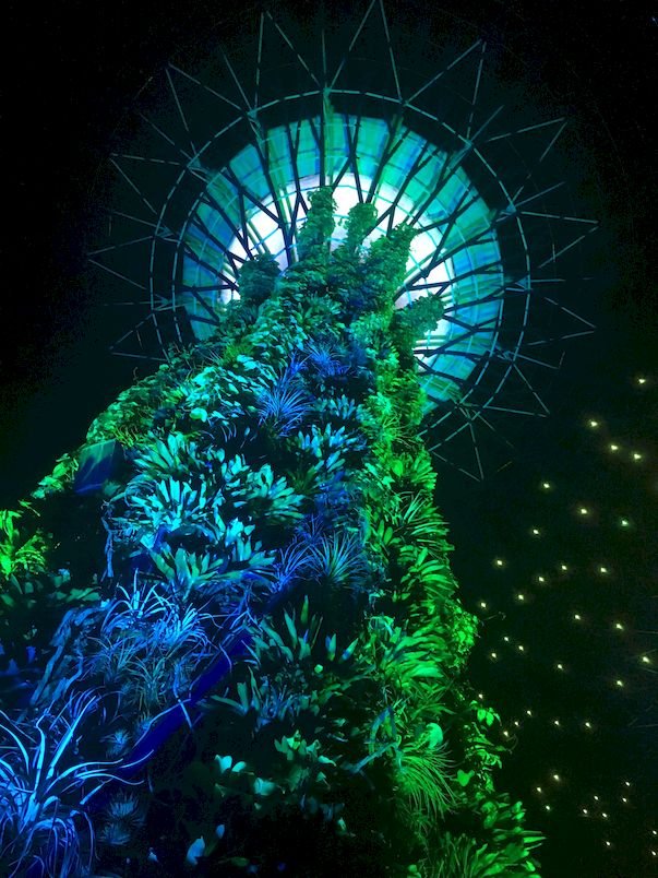 Gardens by the Bay