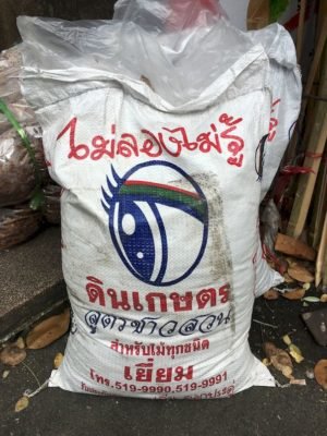 Thailand Street Photography